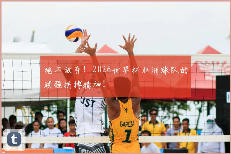 绝不放弃！2026世界杯非洲球队的顽强拼搏精神！