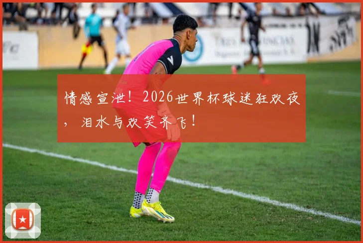 情感宣泄！2026世界杯球迷狂欢夜，泪水与欢笑齐飞！